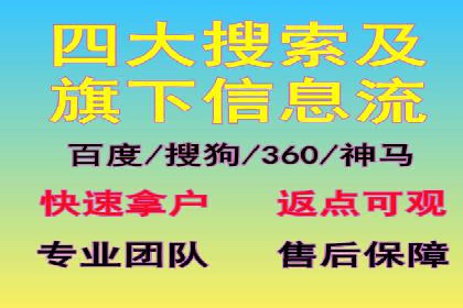 成功SEM推广代运营案例展示